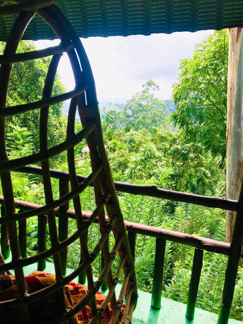 Nice View Guest House & Restaurant 엘라 외부 사진